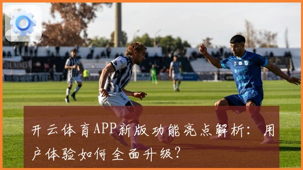 开云体育APP新版功能亮点解析：用户体验如何全面升级？
