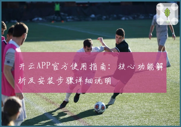 开云APP官方使用指南：核心功能解析及安装步骤详细说明