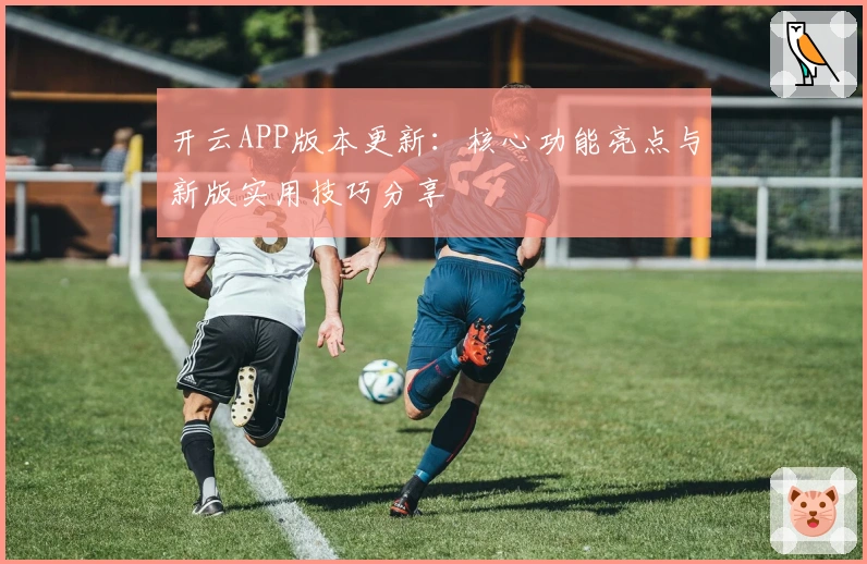 开云APP版本更新:核心功能亮点与新版实用技巧分享